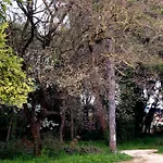 Appartement Alma