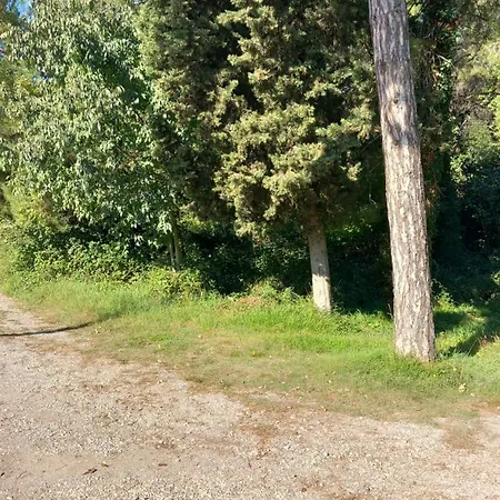 Apartman Alma Póla