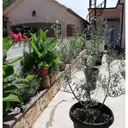 Alma Apartman Pula