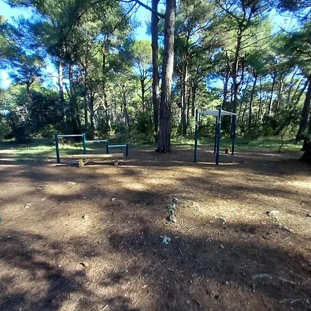 Alma Apartamento Pula