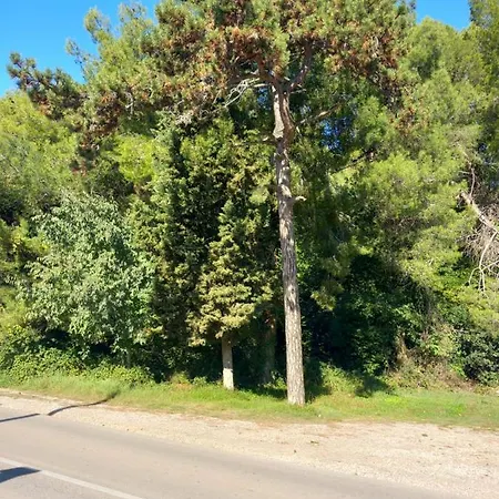 Apartman Alma Póla