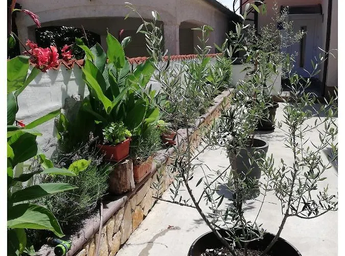 Alma Apartamento Pula