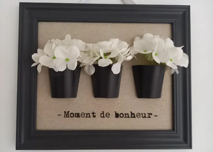 Apartamento Alma Pula