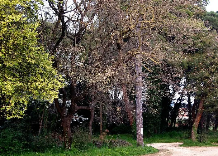Apartment Alma